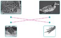 (주)미래엔 과학3-2 223쪽 수정내용 이미지